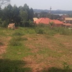 Plots For Sale, Namulanda Entebbe