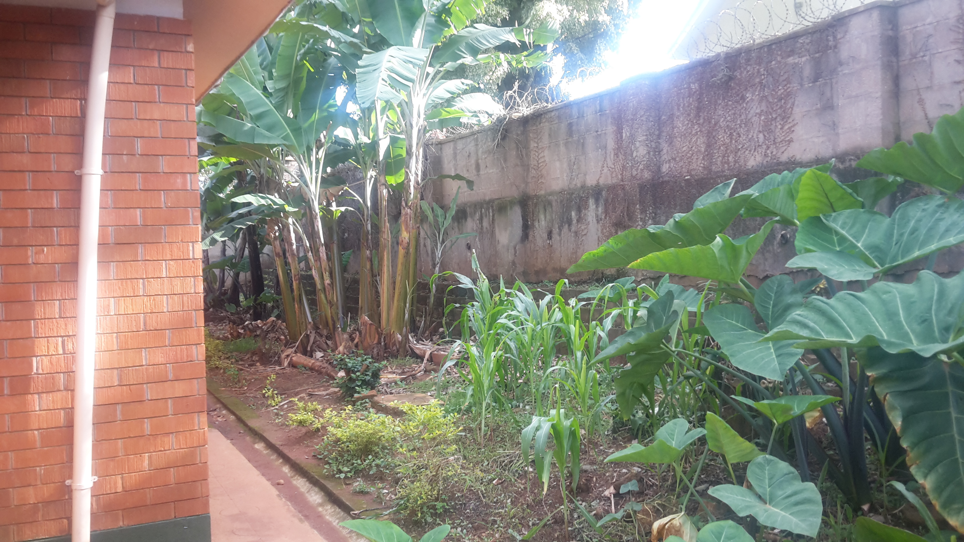 Lubowa Property For Rent 6