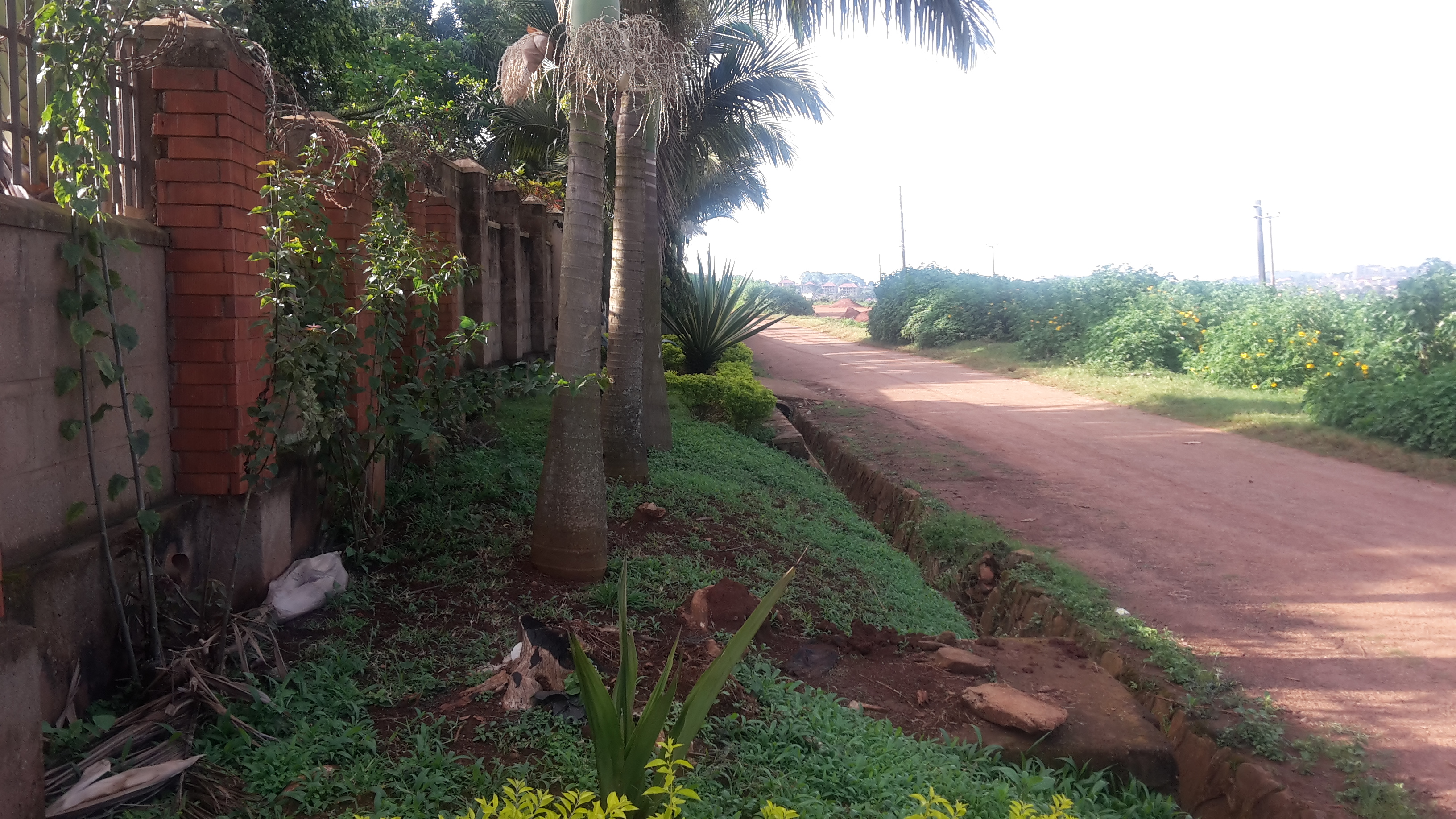 Lubowa Property For Rent 5