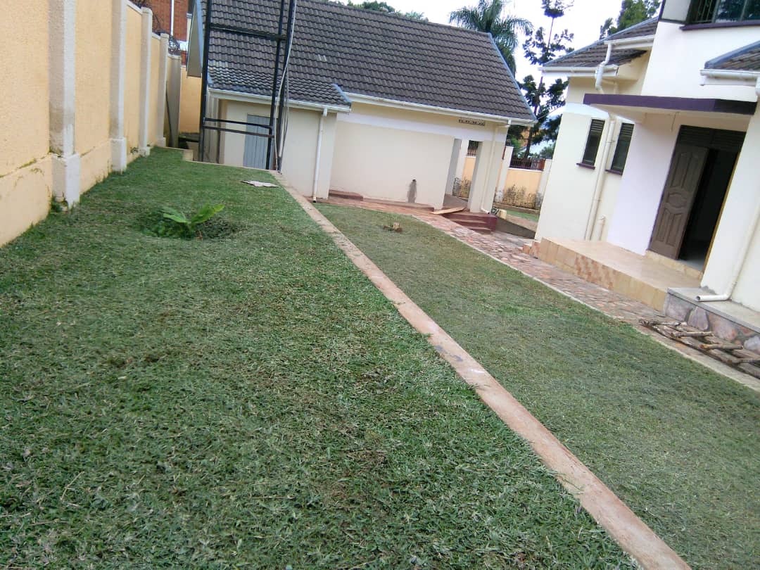 property for rent kampala