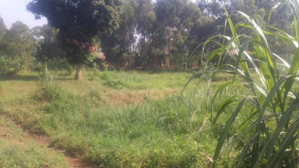 3 Acre Land For Sale, Busega