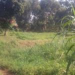 3 Acre Land For Sale, Busega