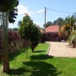 3 Houses For Sale In Mengo Uganda